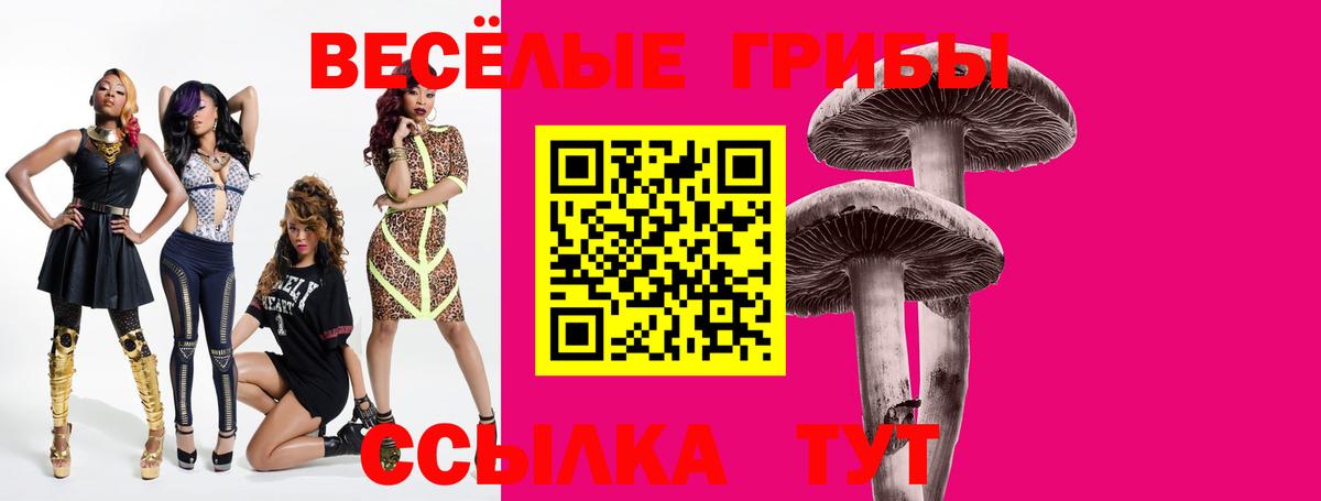 Минеральные Воды  Галлюциногенные грибы Psilocybe  Вход с VPN  Псилоцибиновые грибы мицелий 